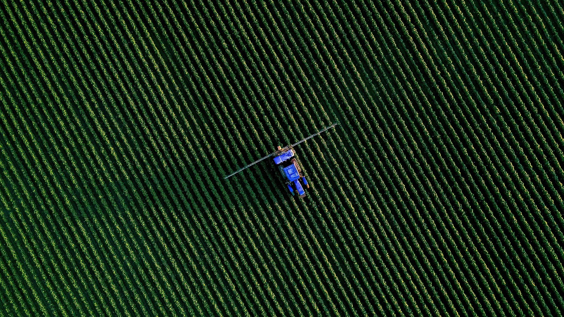 IoT sensoren & automatisering op maat